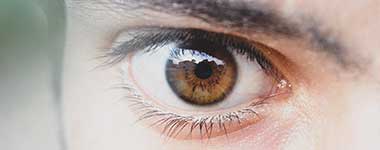 Video-Konferenzen Österreich