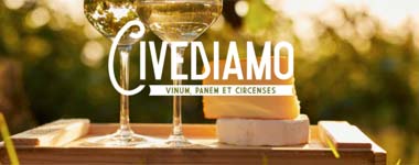 Primitivo-Wein in Wien